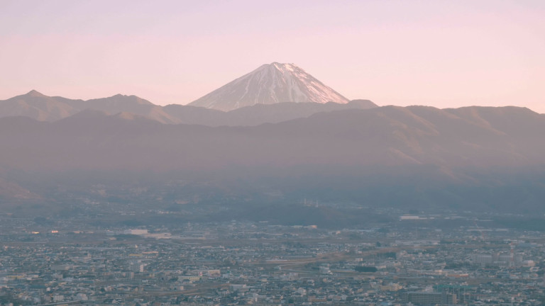 Fujiyama Cotton: Image 6
