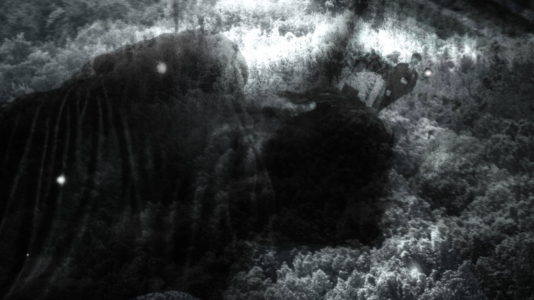 Twilight: Image 5